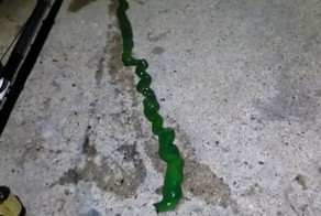 Тайваньский рыбак заснял загадочное желеобразное существо