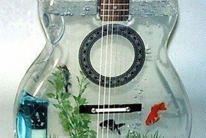 Пикантный фотоприкол