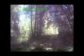 Пьяный лесовоз