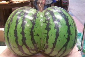 16 картинок, которые расскажут, насколько вы испорчены