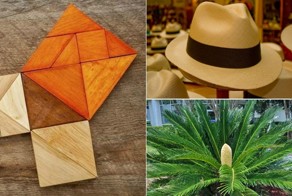 9 известных вещей, которым люди дали неправильные названия