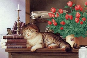  Макото Мурамацу и его кошки