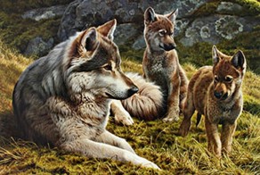 Волки на картинах Эндрю Хатчинсона