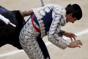 Кровавая коррида в Мадриде