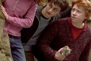 Прикол картинка