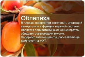 Польза ягод