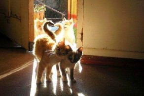 Доброе утро!!!