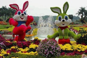 Икебана, не икебана ? Просто красота !