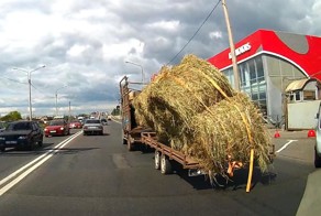 Тойоту Приус "осенило"