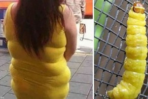 25 примеров забавного и неожиданного сходства