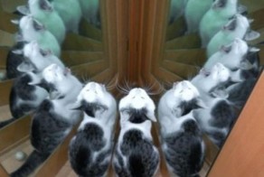 Фотоальбом