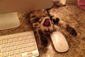 Фотоподборка