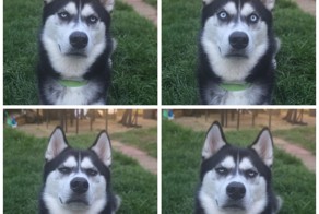 Фотоподборка за 11.06.2015