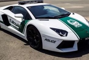Лучшие полицейские машины мира