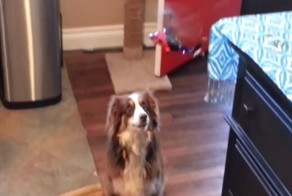 Подборка радиоуправляемых неудач