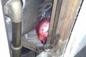 Сюрприз для будущих владельцев (15 фото)