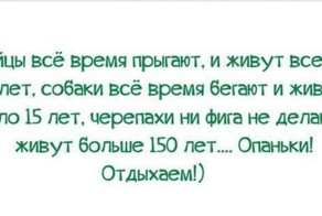 Пост юмора в картинках без политики