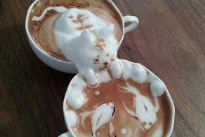 Фотоприкол онлайн