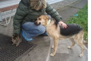 История спасения одной жизни, но разве этого мало?