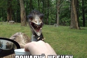 Осторожно!