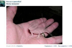 10 мифов социальных сетей