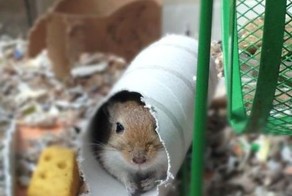 Зачетное фото