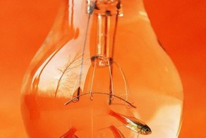 Смешная фотогалерея