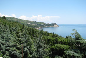 Крым.Парк Айвазовского. Делюсь красотами родного края 