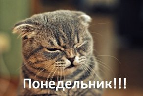 10 самых интересных фактов о понедельниках