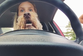 Фотоподборка за 15.06.2015