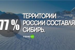 28 фактов о России которые известны Америке