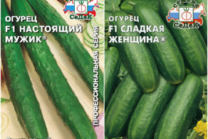 Семена от автора или весёлые названия растений