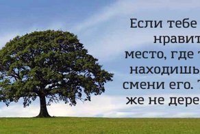 16 веселых открыток, которые помогут с юмором взглянуть на обыденные вещи