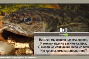 25 самых сложных скороговорок на русском языке