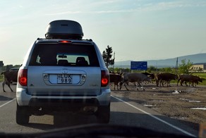 Особенности автовождения в Грузии