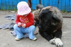 Про Алёнку и кавказца