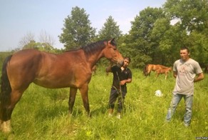 Кыргызский кумыс на окраине Москвы 