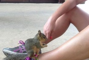 Красивые фото