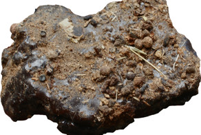 Что мы знаем о мумие