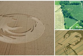 16 удивительно красивых рисунков на полях