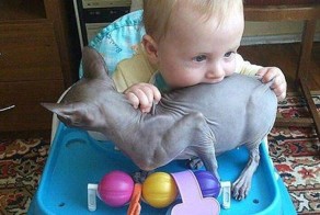 18 ну очень голодных детишек