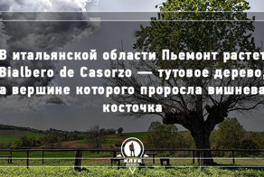 9 неизвестных фактов об Италии