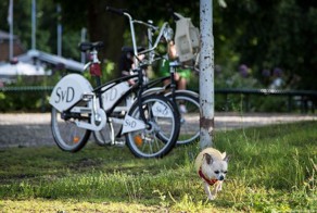 На что будет похожа городская велосипедная сеть Москвы? (20 фото)