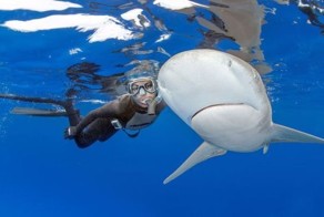 Фотоприкол бесплатно