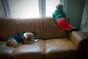 3-летний мальчик написал письмо своей умершей собаке и...получил ответ