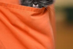 Зачетное фото