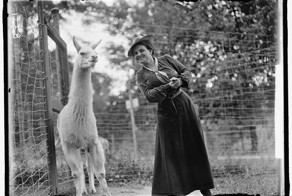 Как выглядели первые зоопарки мира