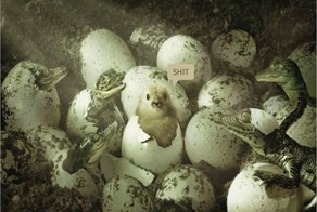 Красивые фото