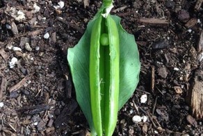 11 снимков, против которых цензура бессильна