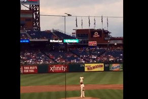 Белка на бейсбольном матче